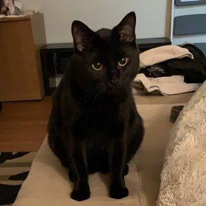 Meet your Posher, Kara